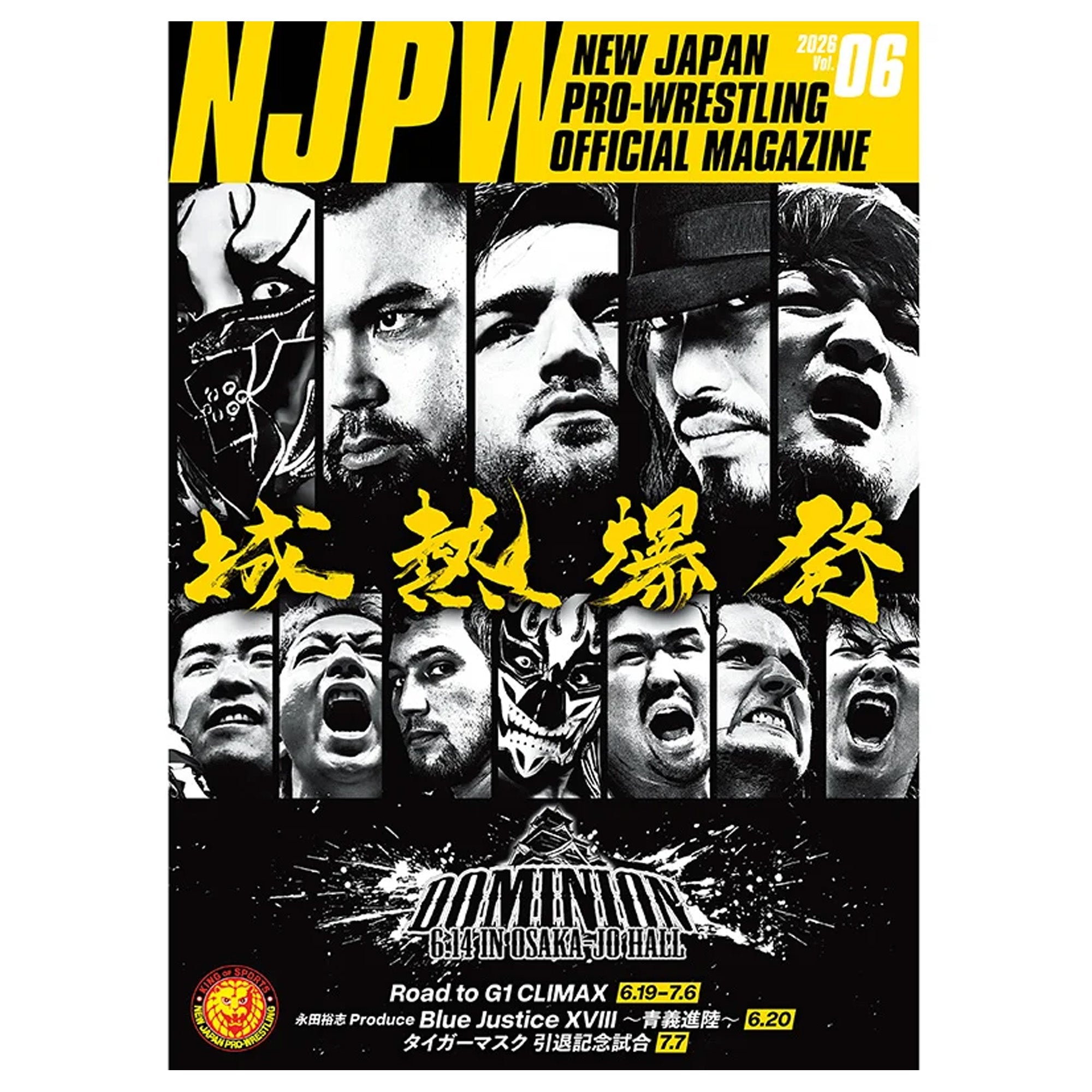 DOMINION 6.14 in OSAKA-JO HALL Guide Book
