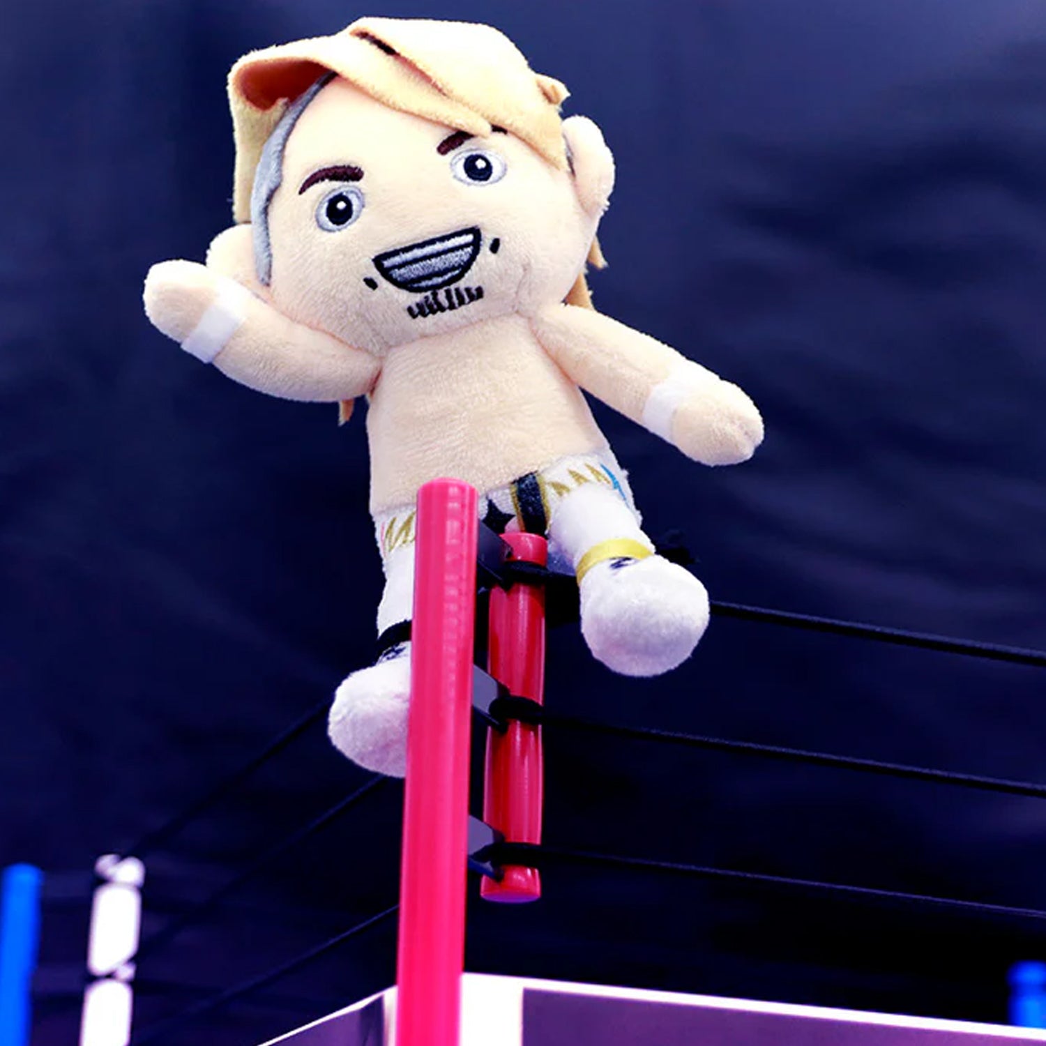 Hiroshi Tanahashi Pyonsuke (3)